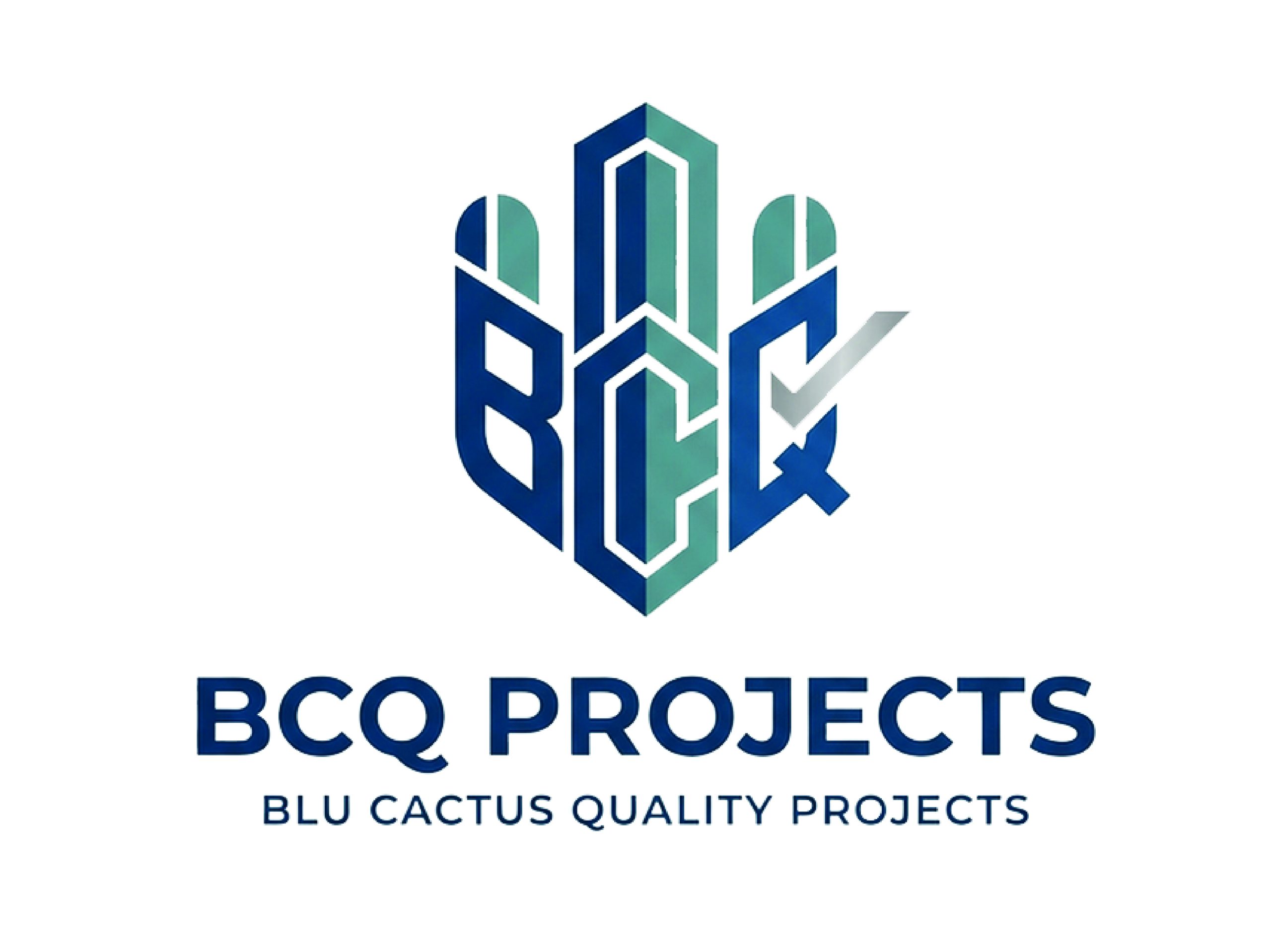 Blu Cactus Quality Projects